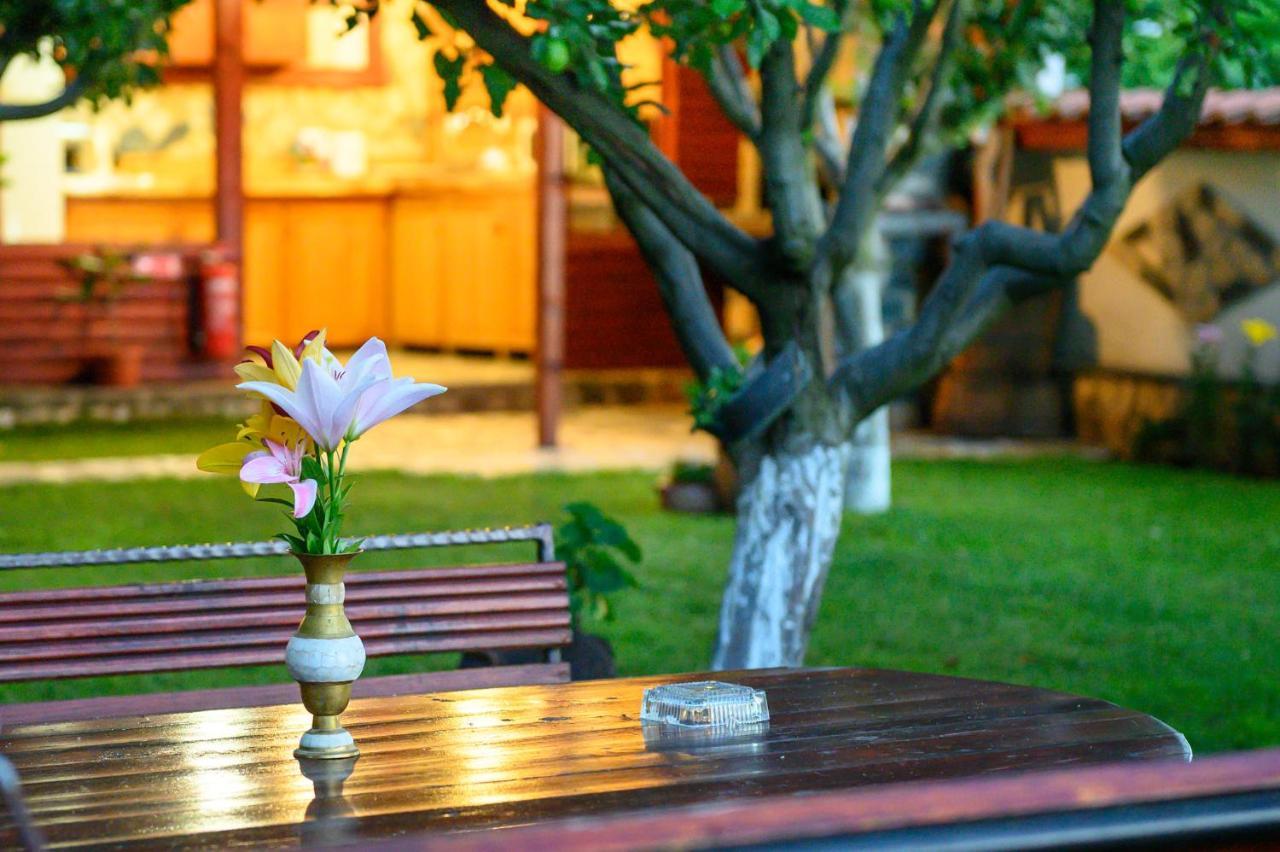 Medi Guest House Sapareva Banja Exteriér fotografie